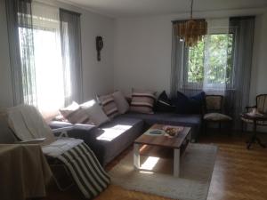 BuchkirchenSpacious apartment near Linz, Wels & Marchtrenk的带沙发和咖啡桌的客厅