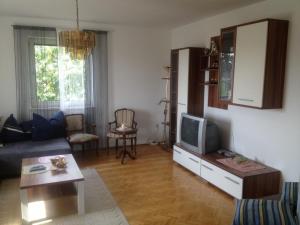 BuchkirchenSpacious apartment near Linz, Wels & Marchtrenk的带沙发和电视的客厅