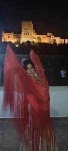 Imagem da galeria de PATRIMONIO ARABE VISTA A LA ALHAMBRA em Granada