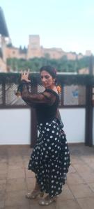 Imagem da galeria de PATRIMONIO ARABE VISTA A LA ALHAMBRA em Granada