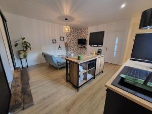 TV a/nebo společenská místnost v ubytování Appartement T2 Frangy