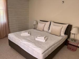 Voodi või voodid majutusasutuse B&B Vltavín toas