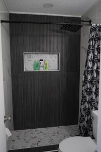 a bathroom with a shower with a toilet and a shower curtain at Luxury apartment 1 in Tampa
