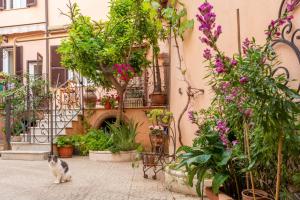 a cat sitting in front of a building with flowers at Tiramisù in Tivoli