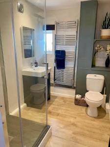 ein Badezimmer mit Toilette, Waschbecken und Dusche in der Unterkunft Stunning house, fenced garden, and outdoor dining! in Hennock + 29 Fotos