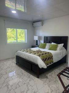 ein Schlafzimmer mit einem großen Bett mit grünen Kissen in der Unterkunft Villa las Orquideas in La Loma + 2 Fotos