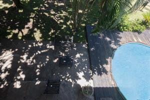 an overhead view of a pool with a palm tree at Casa Palmar in Palmar Arriba