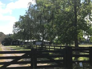 a fence in front of a field with a tree at Arcadia in Pakipaki
