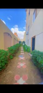 a dirt road with pink circles on it next to buildings at شقة فيلا دبلوكس رائعة ومفروشة مدينة اكتوبر مصر in Sheikh Zayed