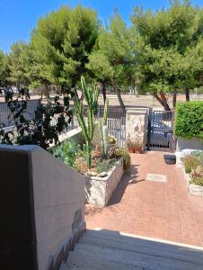 a garden with cactuses and plants on a sidewalk at Green54verde in Santo Spirito