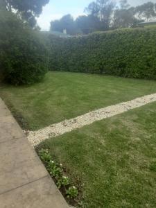 a yard with a grass field and bushes at Traveller's Haven in Millicent