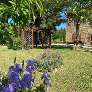 Afbeelding uit fotogalerij van Camera vista piscina Casallario in Volterra +31 foto's