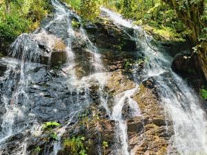 einem Wasserfall inmitten eines Waldes in der Unterkunft Eshwari Cottage in Madikeri + 15 Fotos