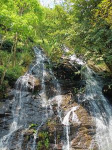 einen Wasserfall an der Seite eines Hügels mit Bäumen in der Unterkunft Eshwari Cottage in Madikeri