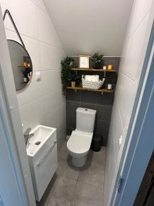 a small bathroom with a toilet and a sink at Cozy private house with backyard and hot tub in Pärnu +22 photos