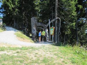 Hosté ubytování Haus Voithofer