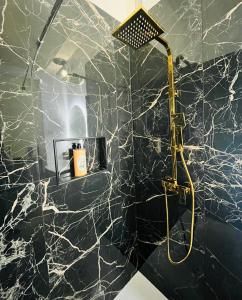 a bathroom with a shower with a black marble wall at Luxueux appartement cosy, hypercentre Castres in Castres
