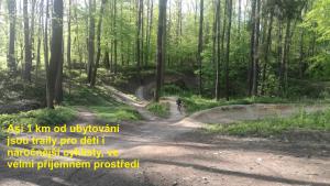 Příroda nedaleko apartmánu