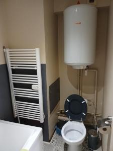un piccolo bagno con servizi igienici e sedile nero di Petit studio tout confort a Métabief