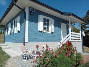 a blue house with chairs and flowers in front of it at Vikendica Maša Blu in Šljivovica