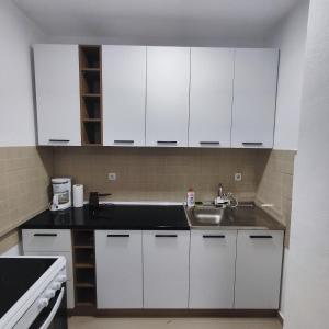 Kuchyň nebo kuchyňský kout v ubytování Apartment Vuchkovi + 8 fotografií