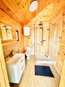 Gniazdo Sikorek في Wieniec: حمام خشبي مع مرحاض ومغسلة