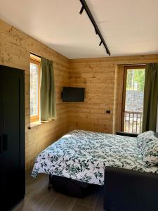 a bedroom with a bed and a television in it at Il Castello nel Bosco, appartamento Torrente in Champorcher