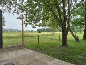 een veranda met een boom en een veld bij Verblijf Trijntje in Nieuwaal