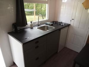 een aanrecht met een wastafel en een raam bij Verblijf Trijntje in Nieuwaal