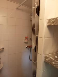 een kleine badkamer met een douche en een toilet bij Verblijf Trijntje in Nieuwaal