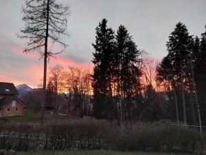 Příroda nedaleko apartmánu