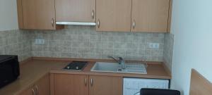 Kuchyňa alebo kuchynka v ubytovaní Joe Beach Apartman