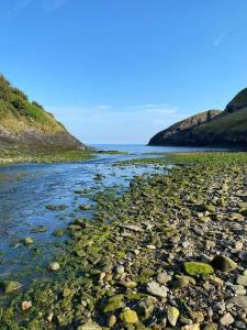 a river with rocks on the side of a mountain at Banc Cottage in Pembrokeshire