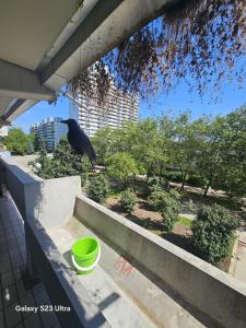 ein schwarzer Vogel sitzt auf dem Sims eines Balkons in der Unterkunft OEZ 3 Zimmer Wohnung in München