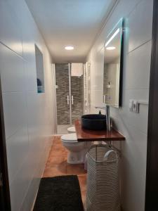 a bathroom with a sink and a toilet at La Casa de la Abuela in Pinos Genil