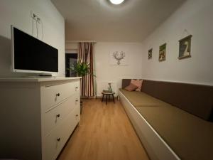 GO FOR MOUNTAINS Appartements電視和／或娛樂中心