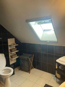a bathroom with a toilet and a skylight at Casa Kanella Vakantiewoning in Maasmechelen +30 photos
