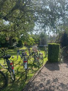 a group of bikes parked in the grass under a tree at Casa Kanella Vakantiewoning in Maasmechelen