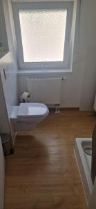 a bathroom with a white toilet and a window at Great Stay Botanischer Garten in Kassel +2 photos