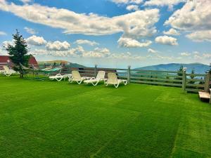 a group of chairs sitting on a lawn at Complex turistic Veverita in Ranca