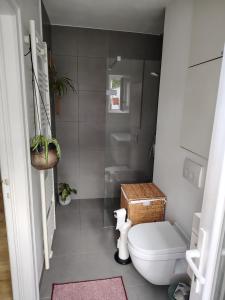 a small bathroom with a toilet and a shower at Cosy Apartment with Big Quiet & Sunny terras in Ghent