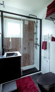 a bathroom with a shower with a sink and a sink at Royal Resort Cosy Cabin met Hottub in Haarle +46 photos