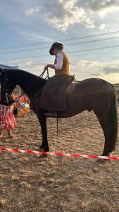 a woman sitting on a horse in a field at Casa Amiata 2 in Montelaterone