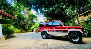 Gallery image of Flamingo Villa in Jaffna