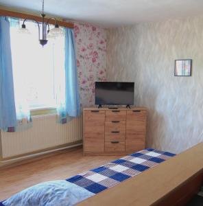 DobříkovApartmán U babičky的一间卧室配有一张床,梳妆台上配有电视