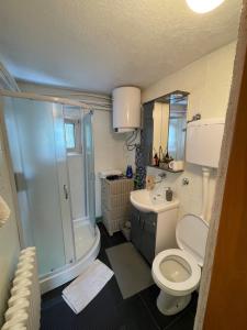 a bathroom with a toilet and a shower and a sink at Apartment Airport in Sarajevo
