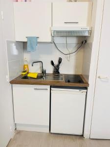 a small kitchen with white cabinets and a sink at Paris apertment in Paris +4 photos
