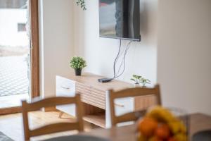TV in/ali zabaviščno središče v nastanitvi Divčinova S4