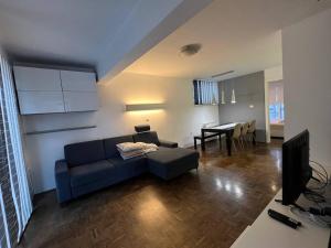 Μια τηλεόραση ή/και κέντρο ψυχαγωγίας στο Apartma comfort Koper