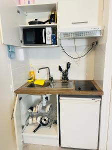 a small kitchen with a sink and a microwave at Paris apertment in Paris